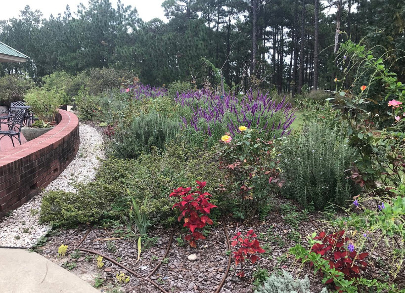Sandhills Horticultural Gardens, United States